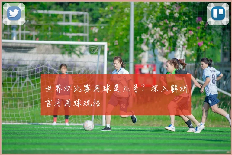 世界杯比赛用球是几号?深入解析官方用球规格