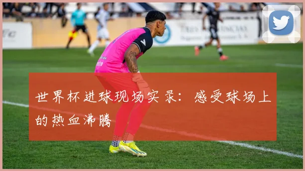 世界杯进球现场实录：感受球场上的热血沸腾