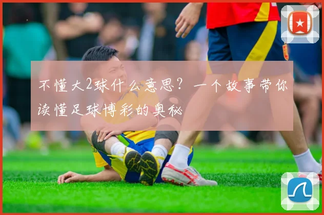 不懂大2球什么意思？一个故事带你读懂足球博彩的奥秘