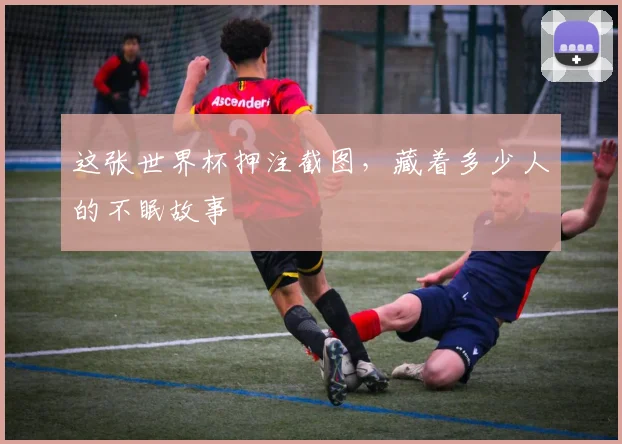 这张世界杯押注截图，藏着多少人的不眠故事