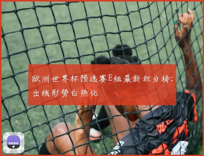 欧洲世界杯预选赛E组最新积分榜：出线形势白热化