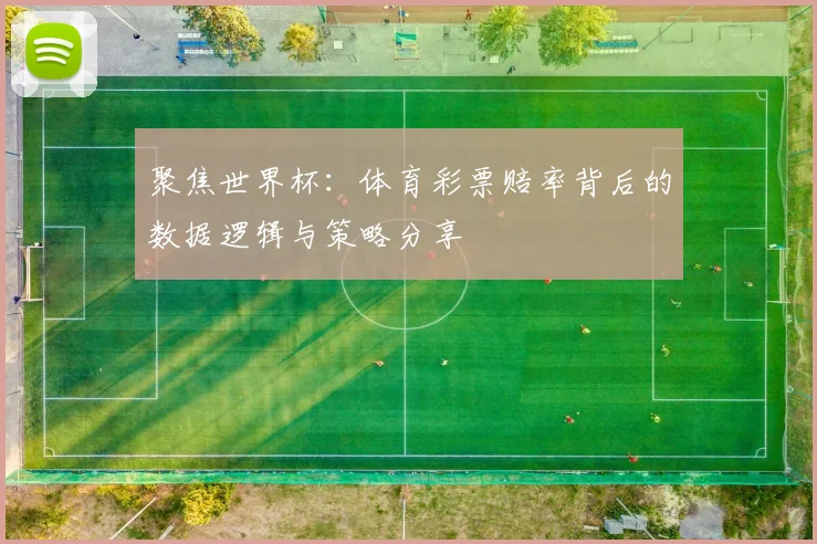 聚焦世界杯：体育彩票赔率背后的数据逻辑与策略分享